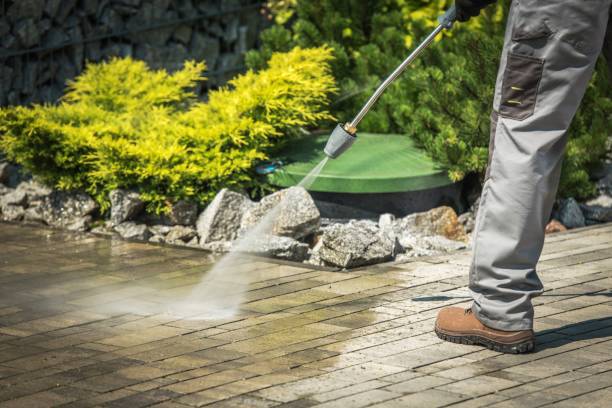 Best Dumpster Area Cleaning  in Chippewa Falls, WI